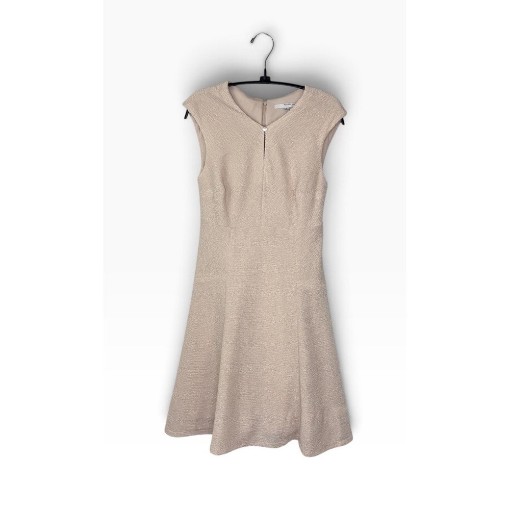 Champagne Metallic Flared Dress Cap Sleeves Old Money Quiet Classic Luxury EUC 6